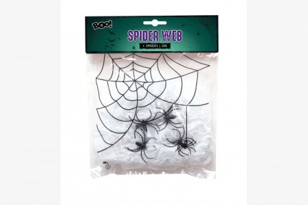 SPIDER WEB WTH SPIDER