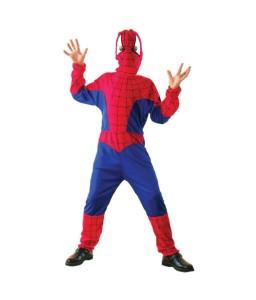 spider boy costume