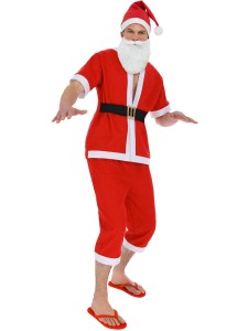 summer santa costume